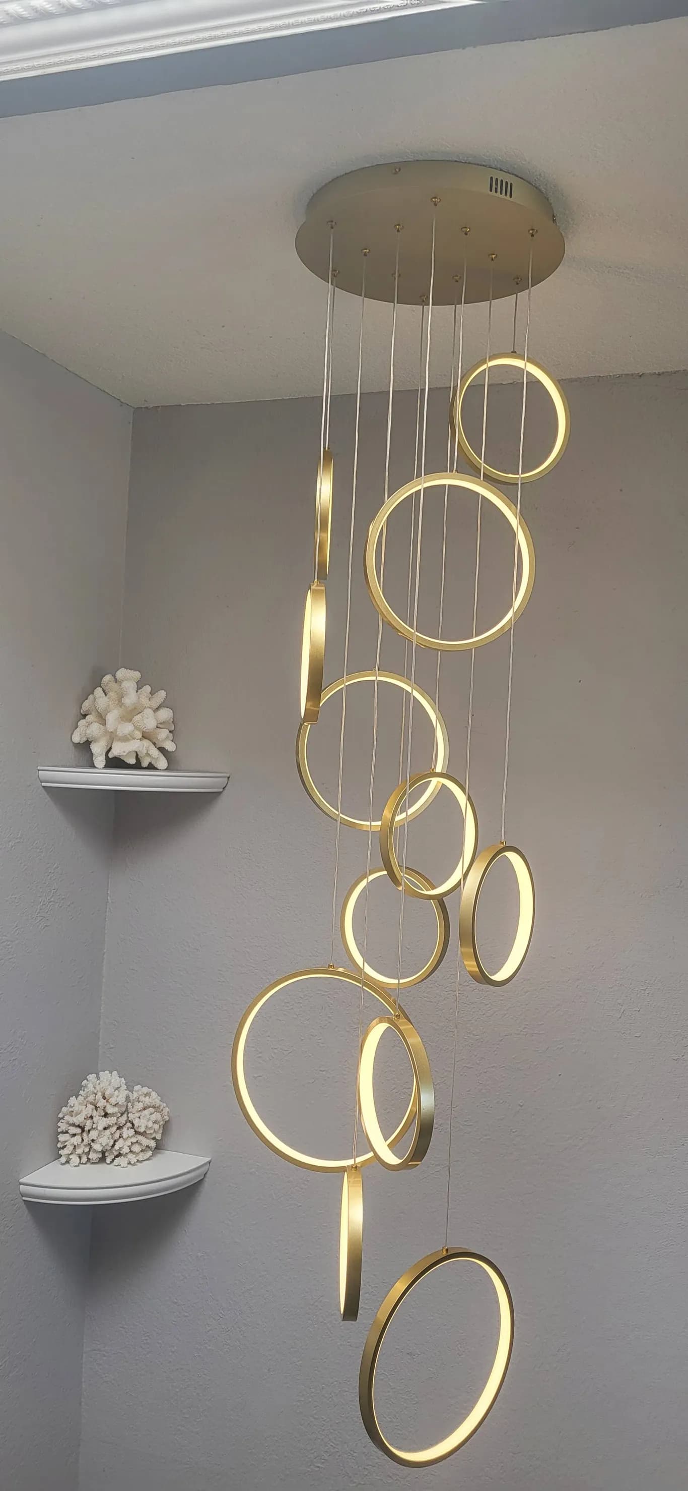 Voltamin Electric project photo 5